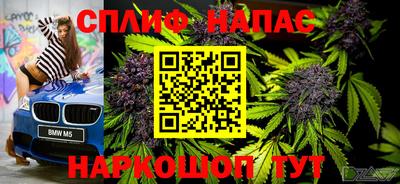 индика Рыбинск
